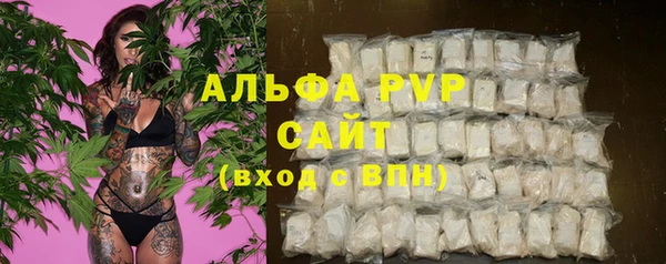 МДПВ Абаза