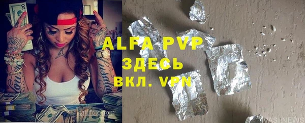 индика Киренск