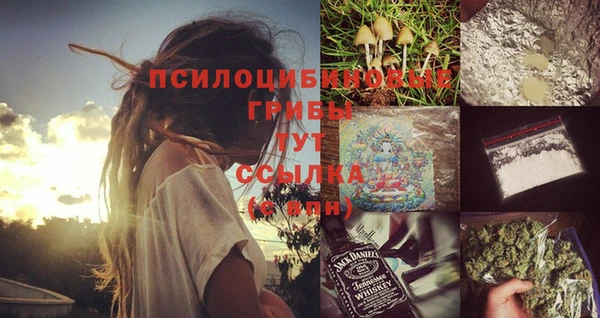 МДПВ Абаза